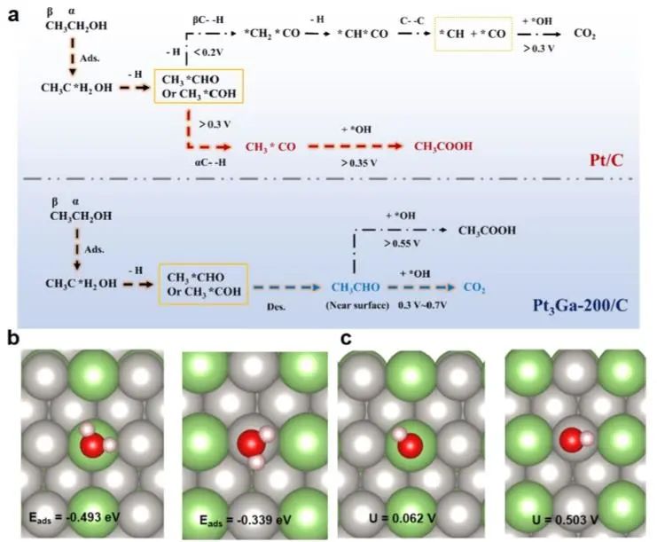 催化頂刊集錦：JACS、Angew.、Joule、AM、AFM、ACS Catal.、Nano Lett.等