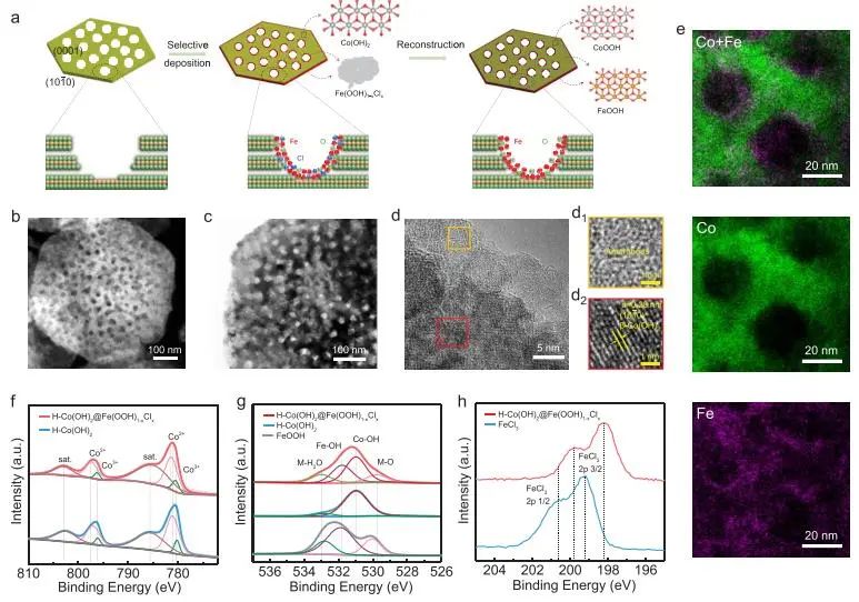 催化頂刊集錦：JACS、Nature子刊、Angew.、AFM、Adv. Sci.、ACS Catal.等成果