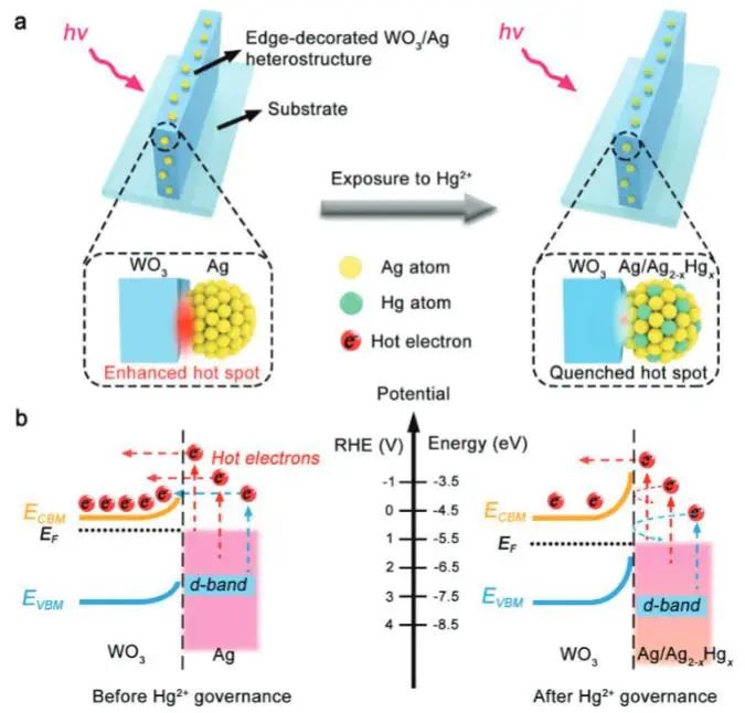 催化頂刊集錦：JACS、Nature子刊、Angew.、AFM、Adv. Sci.、ACS Catal.等成果