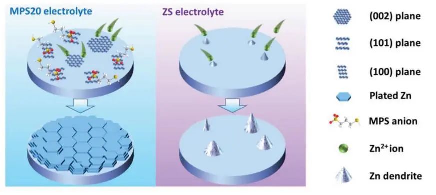 王成新/楊功政AEM：電解質添加劑的界面調節促進高放電深度下穩定的（002）織構鋅負極
