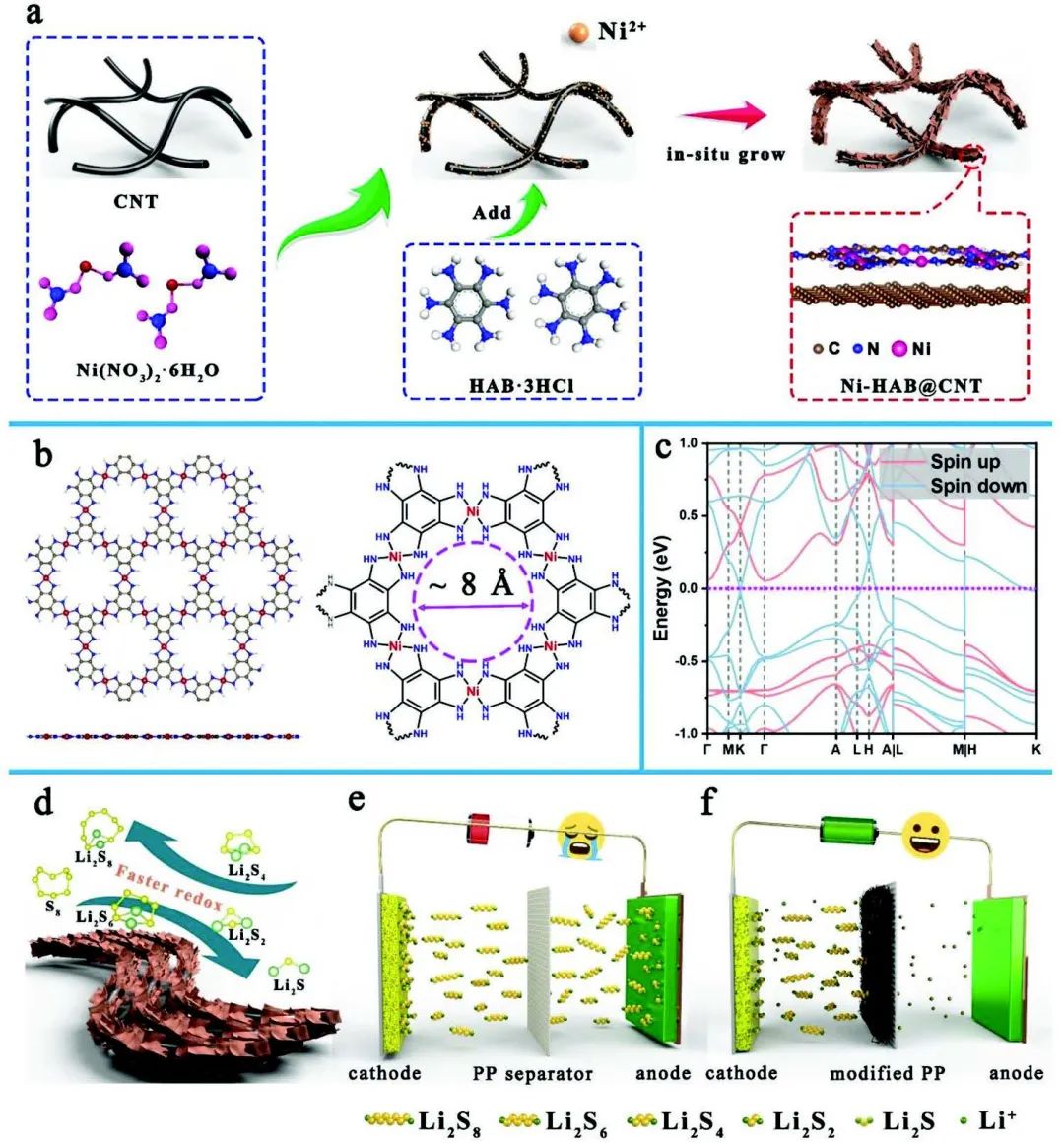 朱俊武/付永勝Adv. Sci.：π-d共軛導電MOF促進鋰硫電池中多硫化物轉化