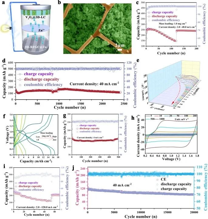 趙天壽院士團隊最新Nature子刊！鋅離子電池-鋅陽極-三維分層結(jié)構(gòu)