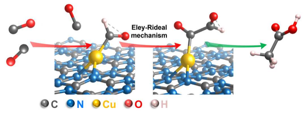重磅！Science子刊、JACS共同聚焦單原子Cu催化劑！