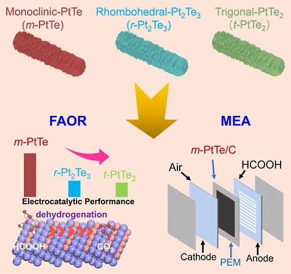 JACS：最高超35倍！m-PtTe NT助力甲酸氧化反應