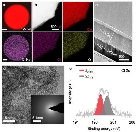 催化頂刊集錦：Nature子刊、Angew.、EES、AFM、ACS Nano等成果