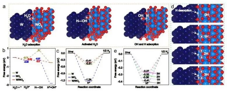 催化頂刊集錦：Nature子刊、Angew.、EES、AFM、ACS Nano等成果