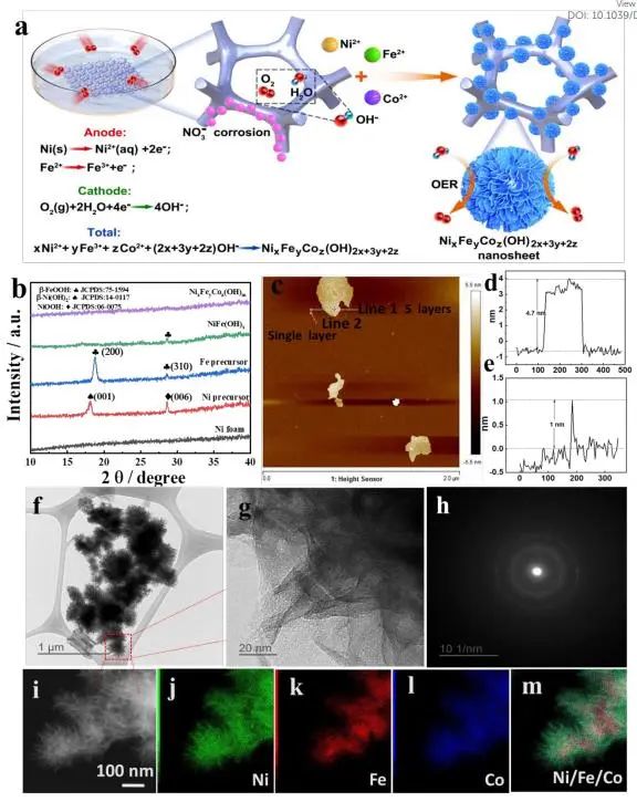 催化頂刊集錦：Nature子刊、Angew.、EES、AFM、ACS Nano等成果