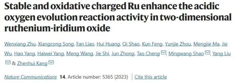 催化頂刊集錦：Nature子刊、Angew.、EES、AFM、ACS Nano等成果