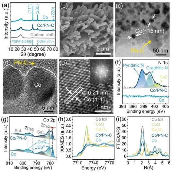 中南Nano Energy：缺電子Co納米晶立大功，有效促進NO3?電還原為NH3