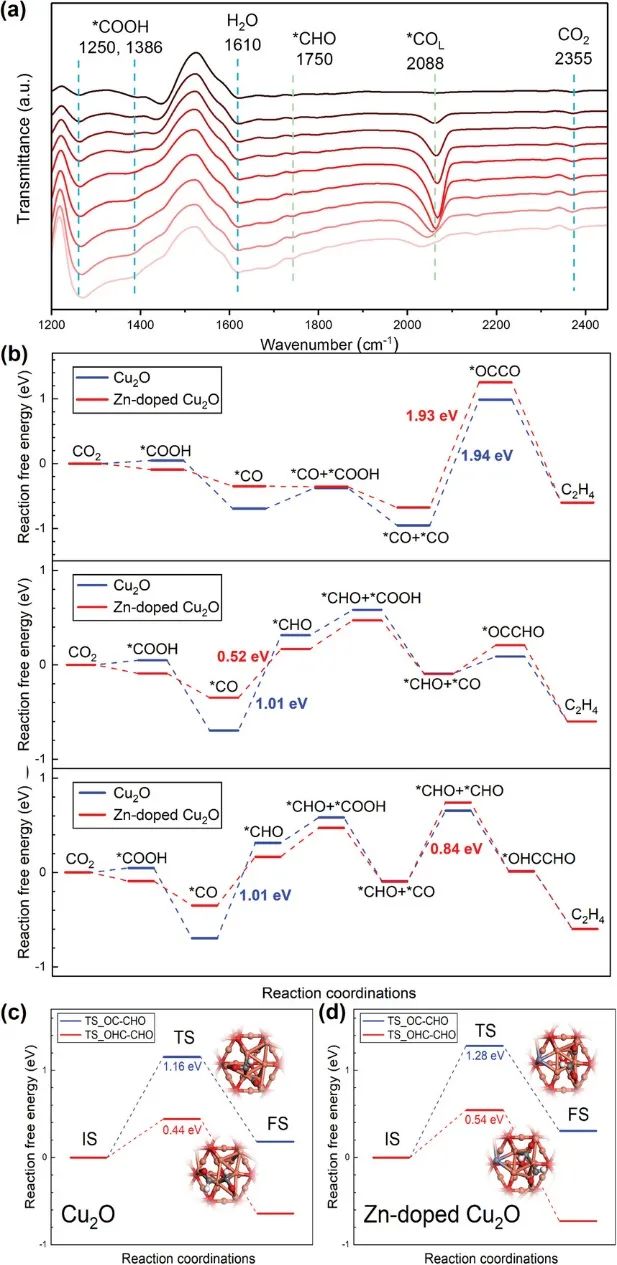 ?范科/孫立成Adv. Sci.：Cu2O-Zn高效電化學還原CO2為C2+產(chǎn)物