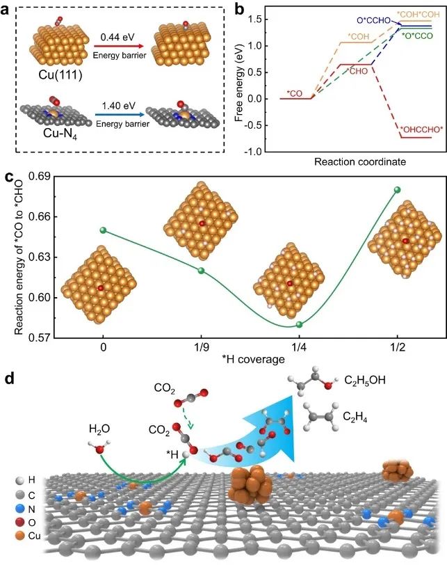 韓布興院士等一周兩篇頂刊！連發(fā)JACS、Nature子刊！
