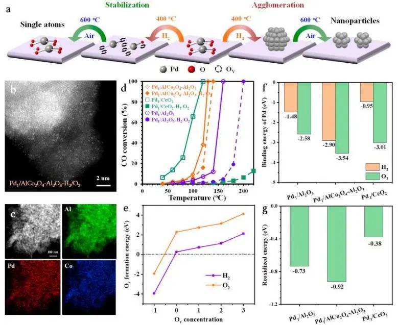 催化頂刊集錦：JACS、Nature子刊、Angew.、AFM、Adv. Sci.、ACS Catal.等成果