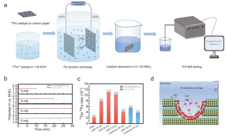 催化頂刊集錦：JACS、Nature子刊、Angew.、AFM、Adv. Sci.、ACS Catal.等成果