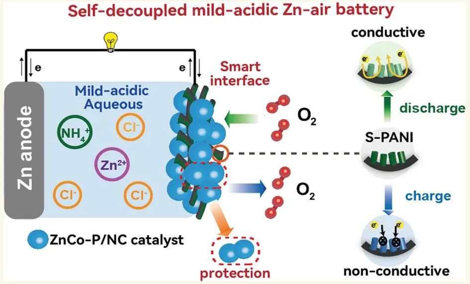 ?ACS Nano：自解耦氧電催化過程用于弱酸性可充金屬鋅-空氣電池