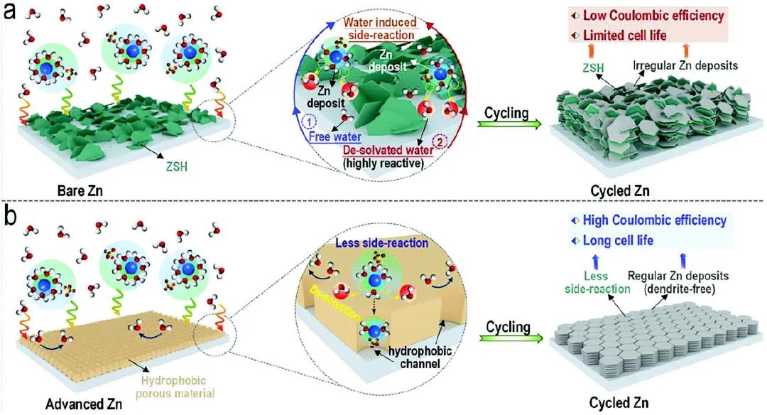 周豪慎/潘安強/常智Adv. Sci.：具有剛性亞納米通道的MOF助力高穩定水系鋅金屬電池