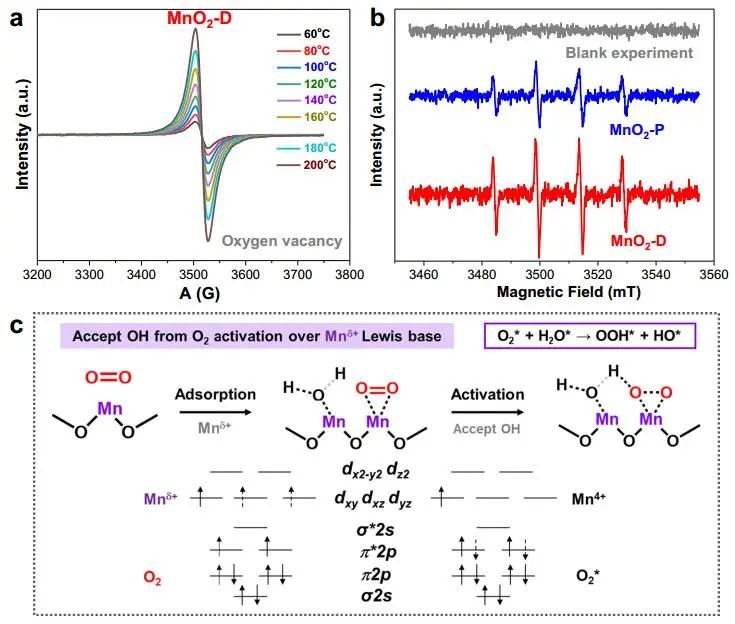 顏寧/馮翔/劉熠斌Nature子刊：MnO2-D催化多元醇/糖級(jí)聯(lián)氧化制甲酸