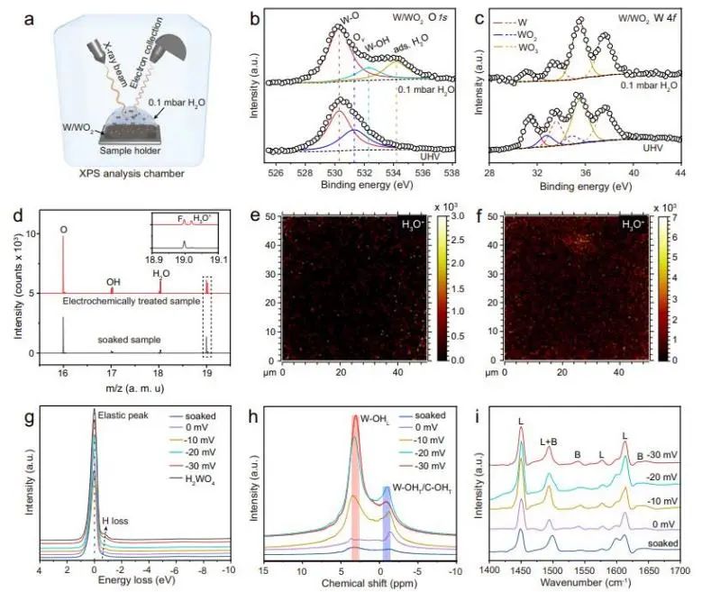 催化頂刊集錦：Nature子刊、Angew.、EES、AFM、ACS Nano等成果