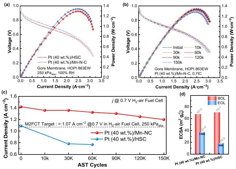 ?武剛/王國鋒ACS Catalysis：在膜電極組件中的耐久性增強和降解行為