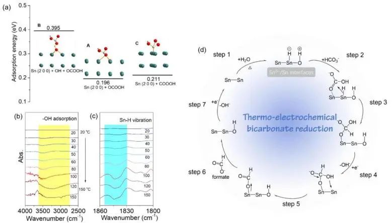 催化頂刊集錦：JACS、Nature子刊、Chem、AFM、ACS Catalysis、ACS Nano等成果