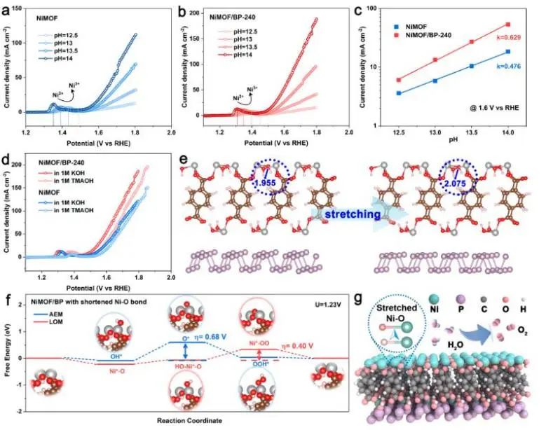 催化頂刊集錦：JACS、Nature子刊、Chem、AFM、ACS Catalysis、ACS Nano等成果