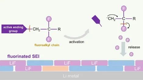 9篇Angew，4篇AM，Joule、JACS、Chem…全球高被引科學家清華張強教授2022年成果精選！