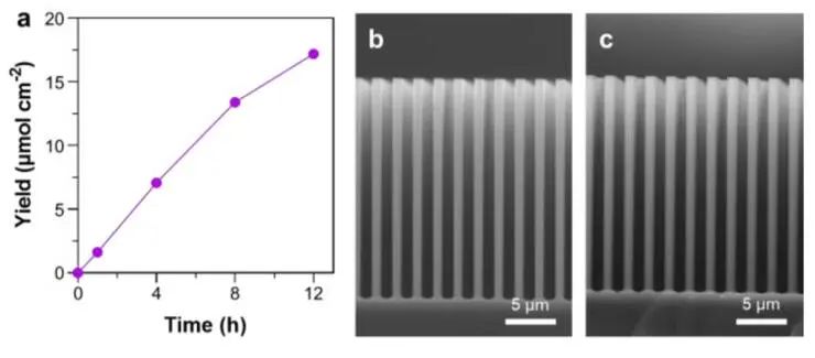 楊培東院士團隊，最新JACS！