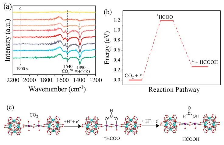 中山大學廖培欽JACS：瓶中載船！NU-1000-Sn酸性電還原CO2
