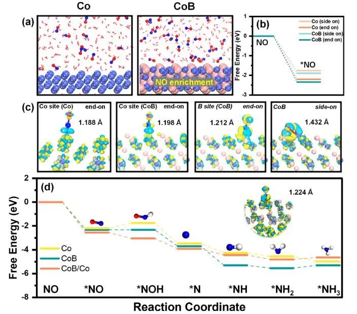 催化頂刊集錦：JACS、Angew.、Joule、AM、AFM、ACS Catal.、Nano Lett.等