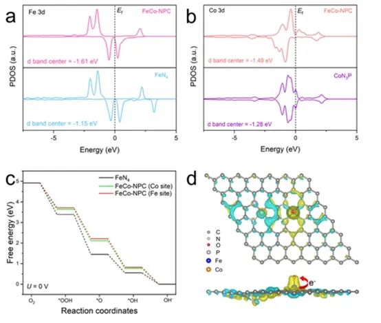 催化頂刊合集：AM、JACS、Angew.、ACS Energy Letters、ACS Catalysis、CEJ等成果！