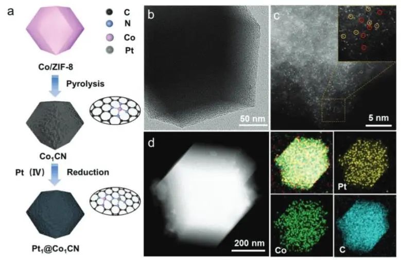 催化頂刊速遞：JACS、Nature子刊、Angew.、AFM、ACS Catalysis、Nano Lett.等成果