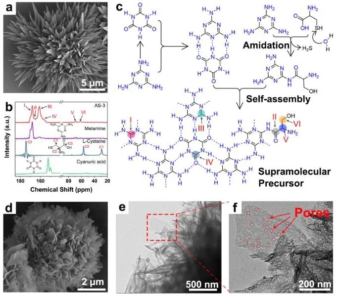 八篇頂刊速遞：Nature子刊、Angew.、JACS、AM、AFM、ACS Catalysis等！