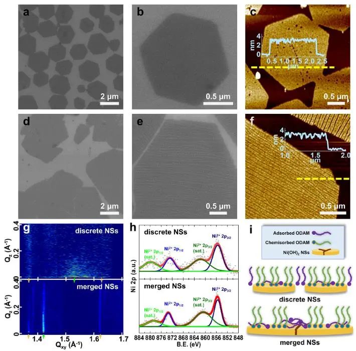 催化頂刊集錦：Nature子刊、Angew.、EES、AFM、ACS Nano等成果