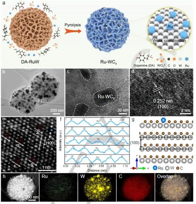 催化頂刊集錦：Nature子刊、Angew.、EES、AFM、ACS Nano等成果