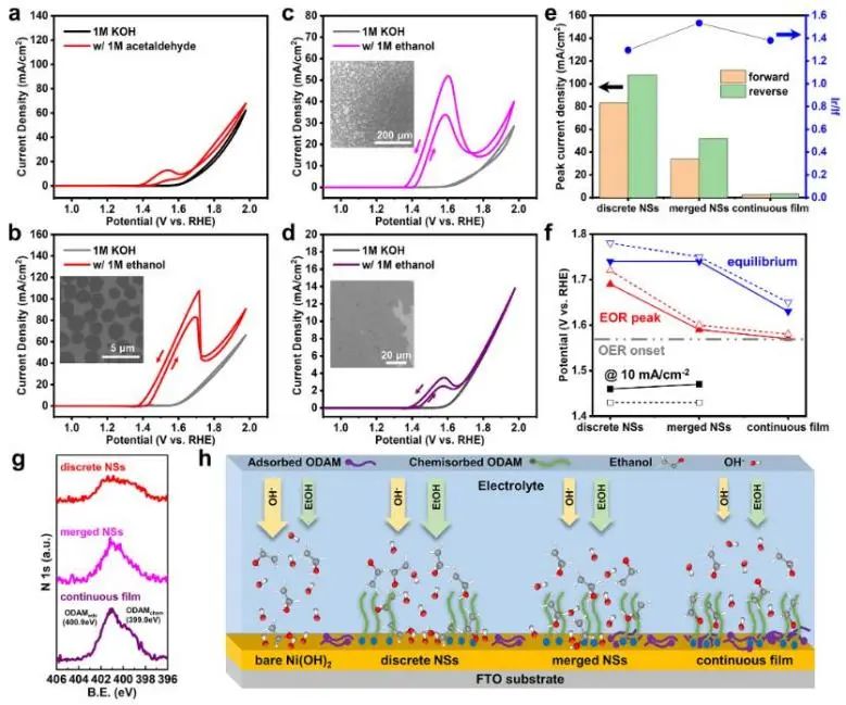 催化頂刊集錦：Nature子刊、Angew.、EES、AFM、ACS Nano等成果