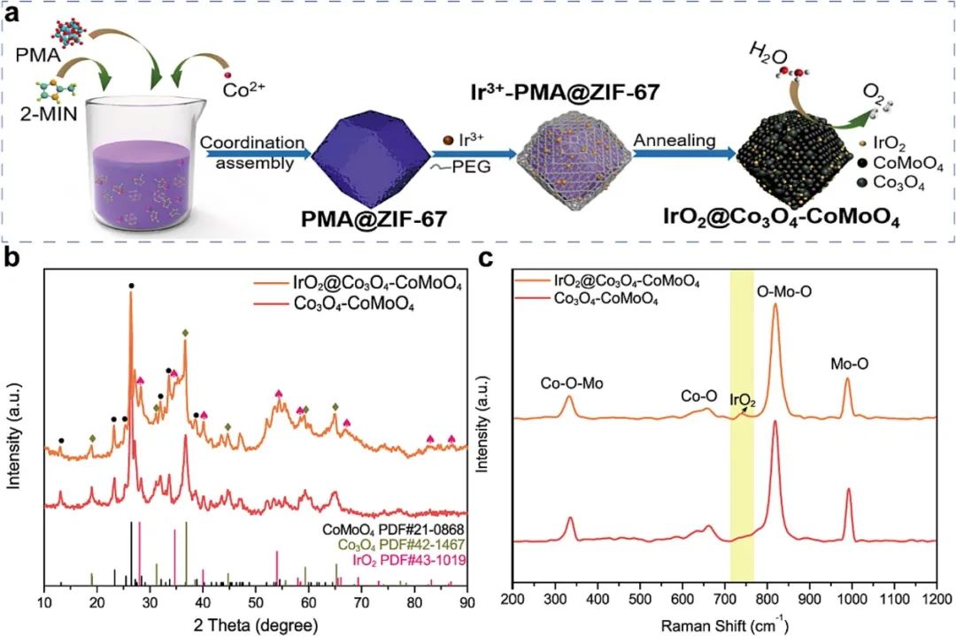 催化頂刊合集：Nature子刊、EES、AM、CEJ、ACB、ACS Catalysis等成果！