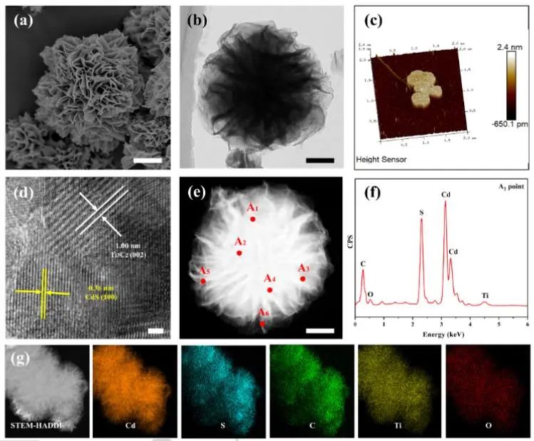 催化頂刊集錦：Angew.、EES、Chem、JACS、ACS Catal.、AFM、ACS Nano