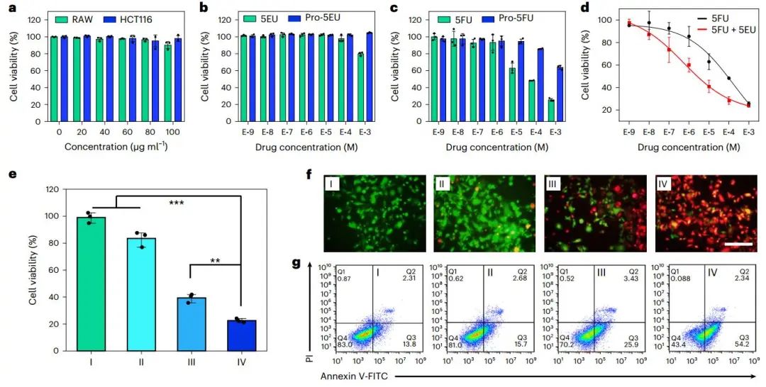 曲曉剛研究員，最新Nature Catalysis！