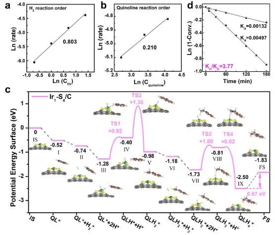 曹昌燕/宋衛國/王陽剛ACS Catalysis：充分暴露的Ir團簇立大功，實現高效催化N-雜環芳烴加氫