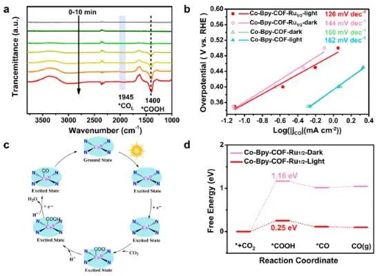 物構所JACS：光敏劑修飾COF，用于光耦合電還原CO2轉化為CO