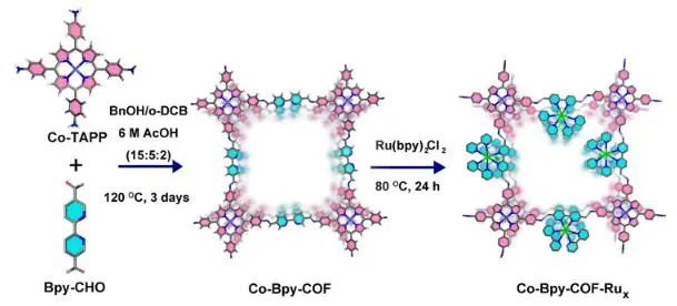 物構所JACS：光敏劑修飾COF，用于光耦合電還原CO2轉化為CO