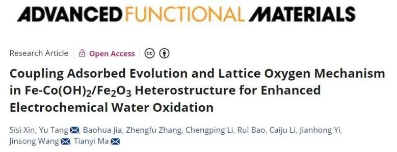 催化頂刊集錦：Nature子刊、Angew.、EES、AFM、ACS Nano等成果