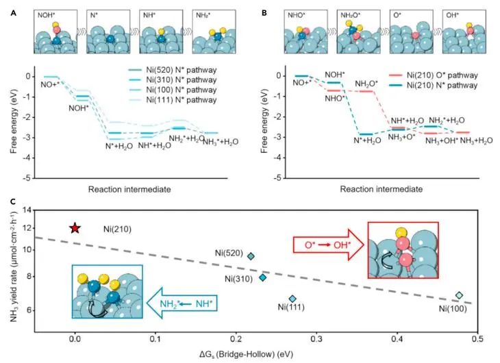催化頂刊集錦：JACS、Nature子刊、Chem、AFM、ACS Catalysis、ACS Nano等成果