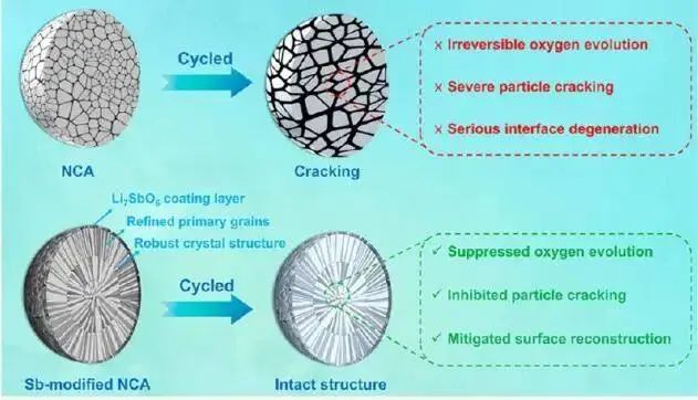 紀效波教授ACS Nano：高性能超高鎳層狀正極的多尺度晶體場效應(yīng)