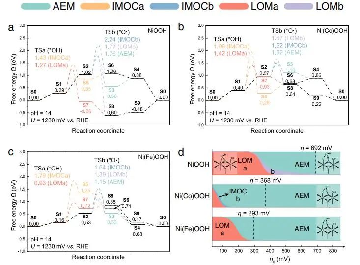 催化頂刊集錦：JACS、Nature子刊、Angew.、AFM、Adv. Sci.、ACS Catal.等成果