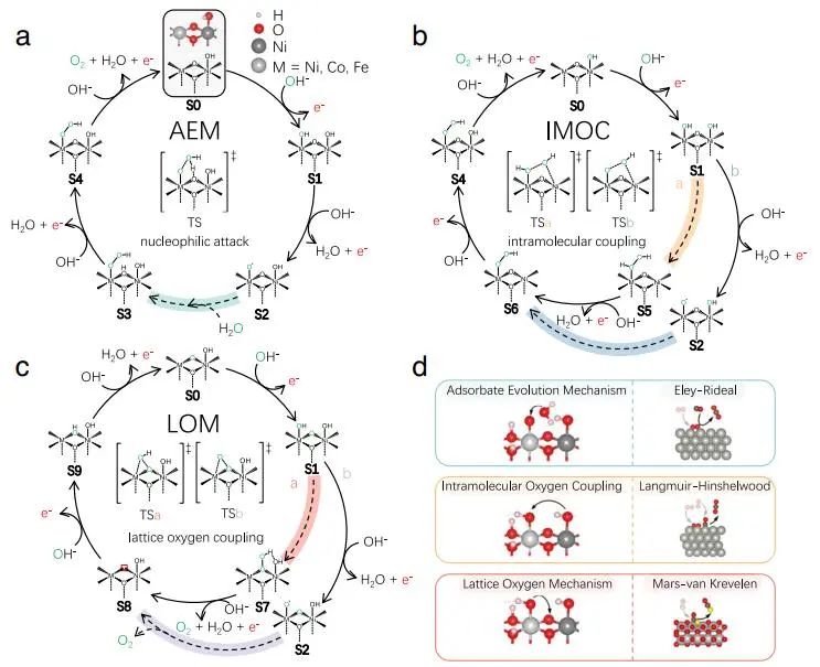 催化頂刊集錦：JACS、Nature子刊、Angew.、AFM、Adv. Sci.、ACS Catal.等成果