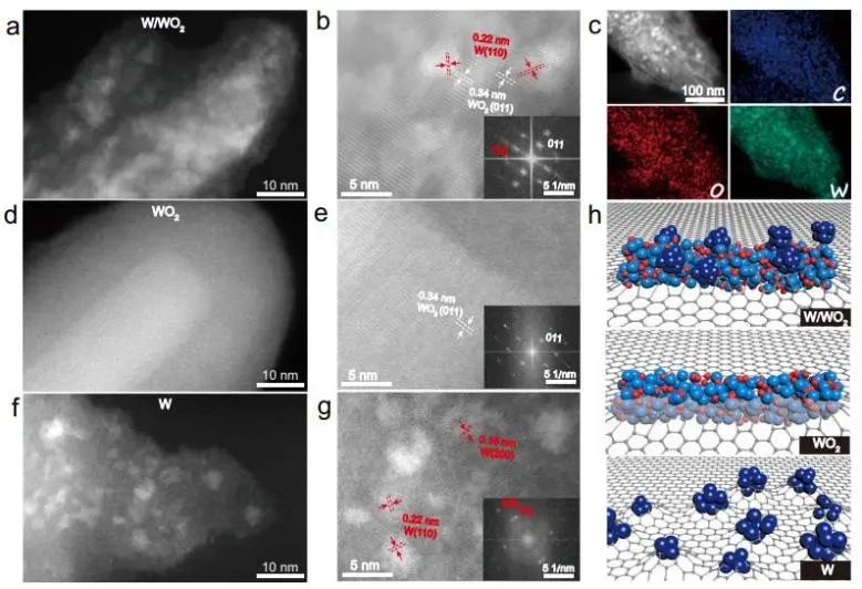 催化頂刊集錦：Nature子刊、Angew.、EES、AFM、ACS Nano等成果
