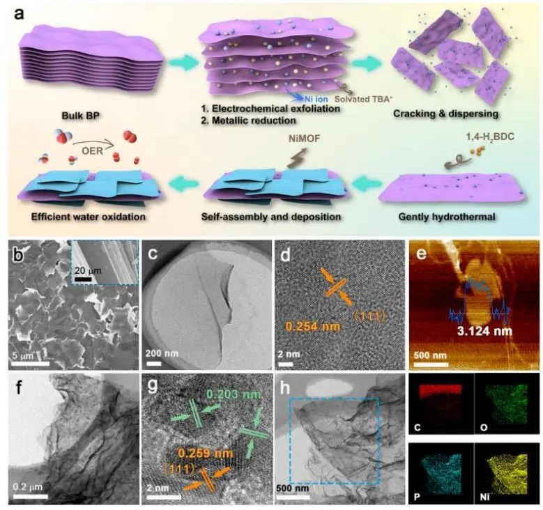 催化頂刊集錦：JACS、Nature子刊、Chem、AFM、ACS Catalysis、ACS Nano等成果
