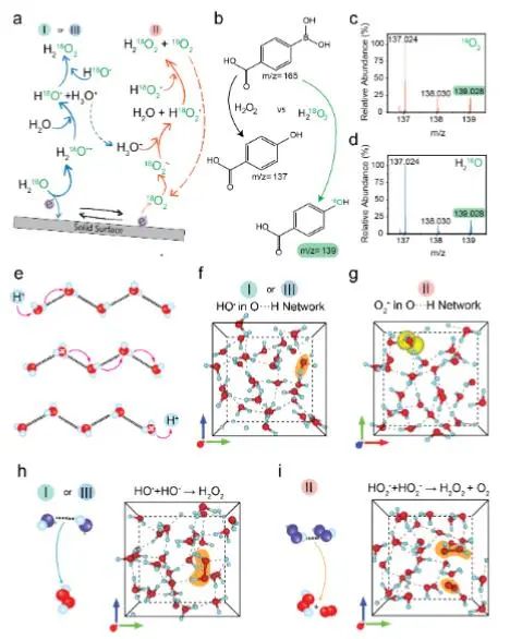 催化頂刊集錦：JACS、Angew.、Joule、AM、AFM、ACS Catal.、Nano Lett.等