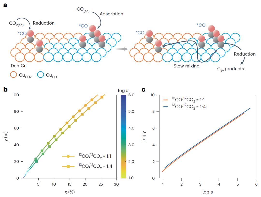 北京大學(xué)徐冰君團(tuán)隊，最新Nature Catalysis！