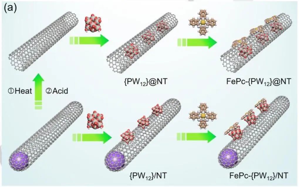 【計算+實驗】頂刊速遞：4篇Angew.?、Chem、JACS、Nature子刊、ACS Catalysis等各一篇！